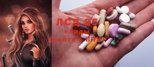 винт Богданович